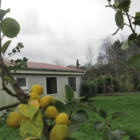 Holiday home Grosses In Mueggendorf Mit Garten