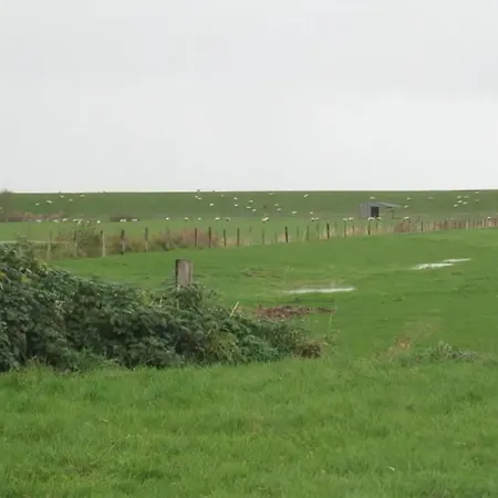 Grosses In Mueggendorf Mit Garten * Otterndorf