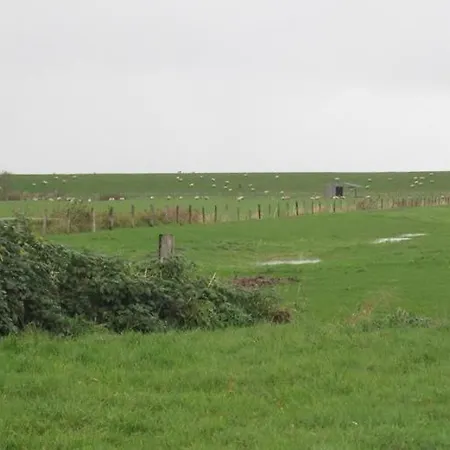 Prázdninový dům Grosses In Mueggendorf Mit Garten