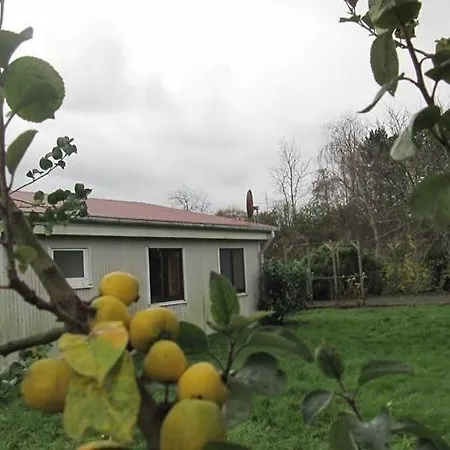 Grosses In Mueggendorf Mit Garten Prázdninový dům *